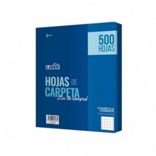 PAQUETE DE HOJAS DE CARPETA