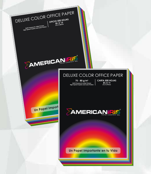 PAQUETE DE HOJAS DE CARTULINA 500 UNIDADES